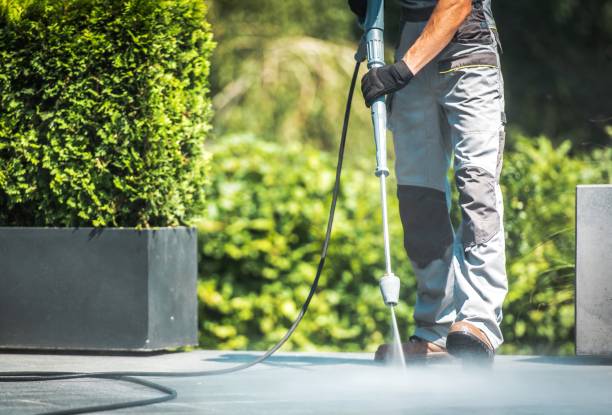 Best Rust Removal  in North Sarasota, FL